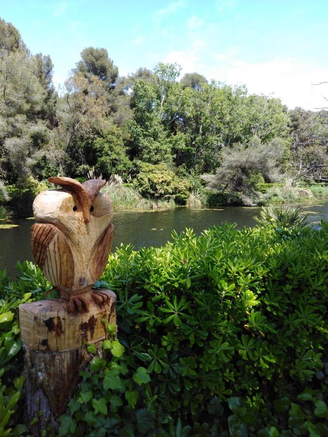 Appartement T2 Avec Piscine A 100 M De La Plage Six-Fours-les-Plages Εξωτερικό φωτογραφία