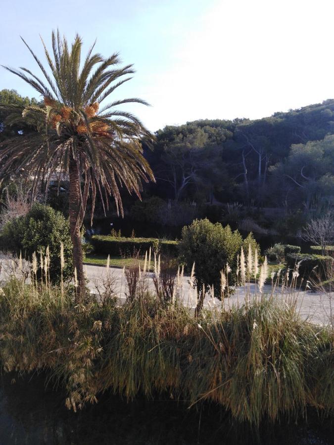 Appartement T2 Avec Piscine A 100 M De La Plage Six-Fours-les-Plages Εξωτερικό φωτογραφία