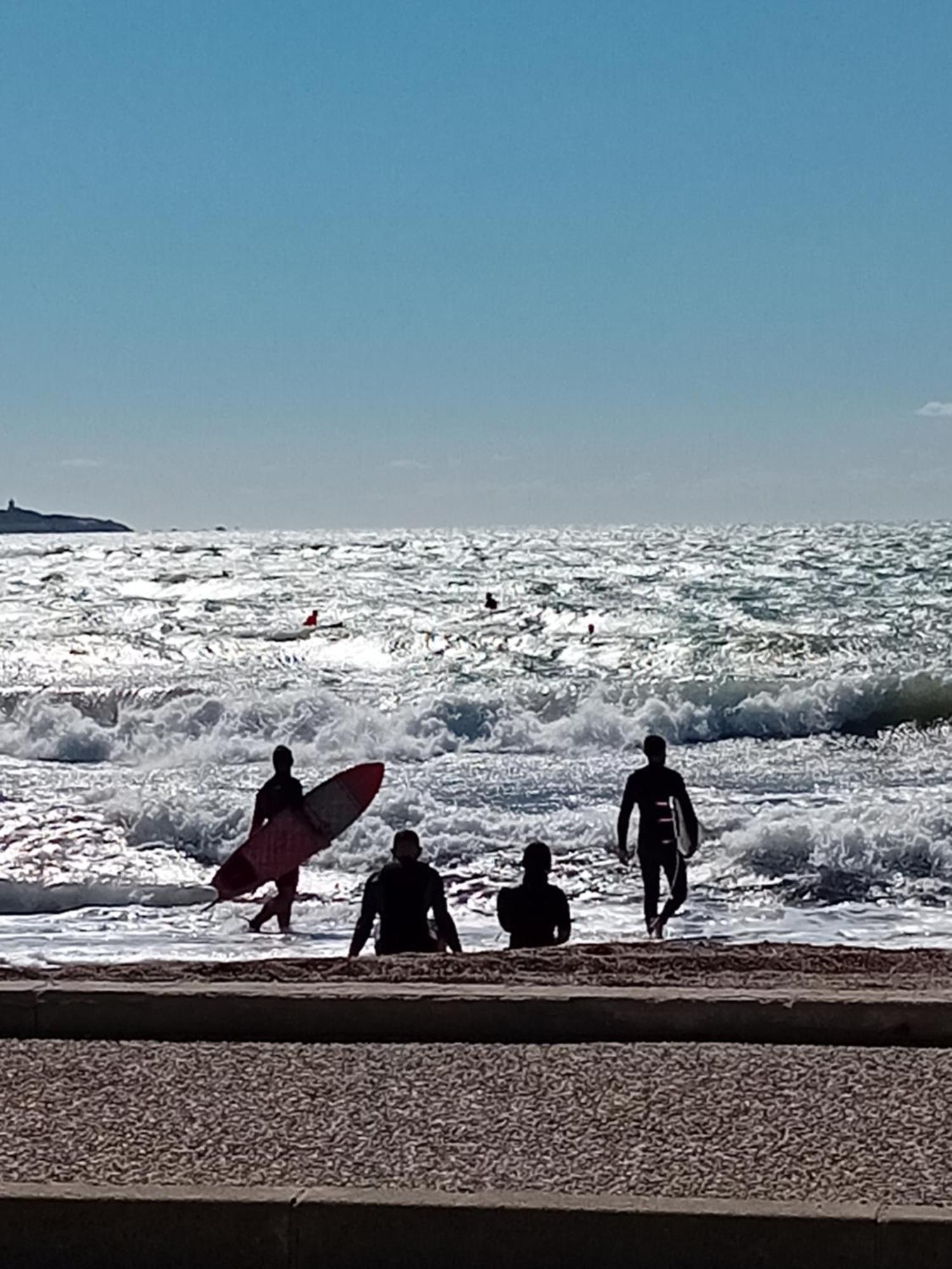 Appartement T2 Avec Piscine A 100 M De La Plage Six-Fours-les-Plages Εξωτερικό φωτογραφία